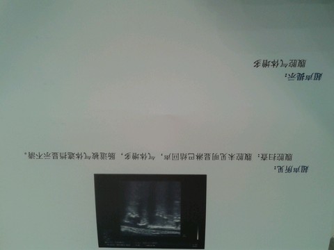 journal_insert_pic_186049856