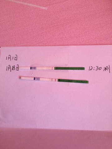 journal_insert_pic_193212435