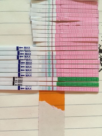 journal_insert_pic_198817268
