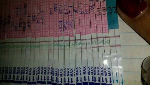 journal_insert_pic_198930114