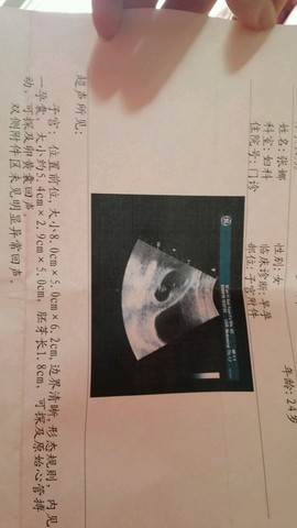 journal_insert_pic_199426901