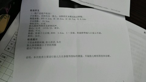 journal_insert_pic_200020664