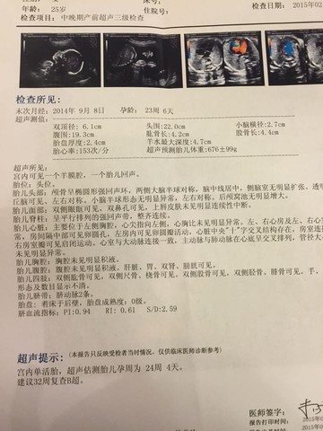 journal_insert_pic_200893127