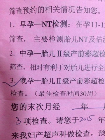 journal_insert_pic_201102176
