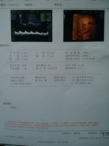 journal_insert_pic_202916382