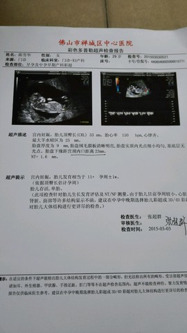 journal_insert_pic_204085902