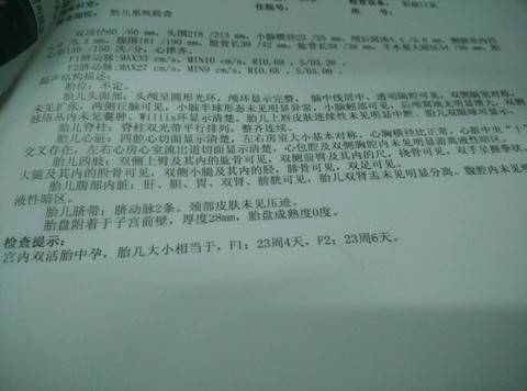 journal_insert_pic_204359454