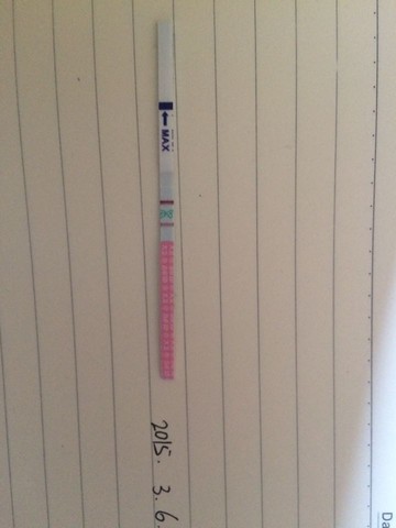 journal_insert_pic_204761811