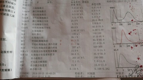 journal_insert_pic_205778257