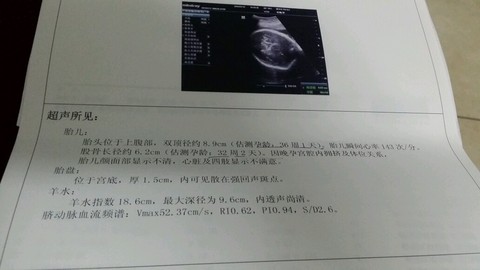 journal_insert_pic_207026512