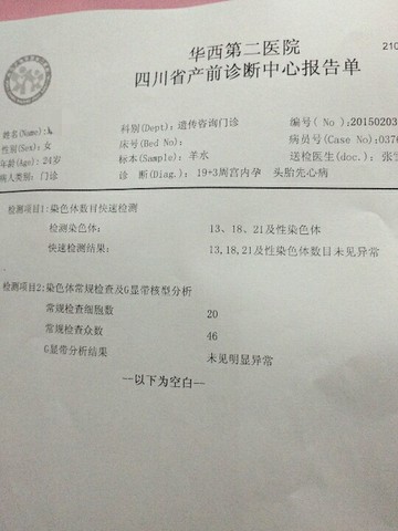 journal_insert_pic_207418474