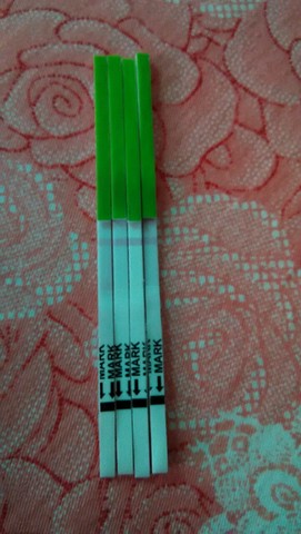journal_insert_pic_208095058