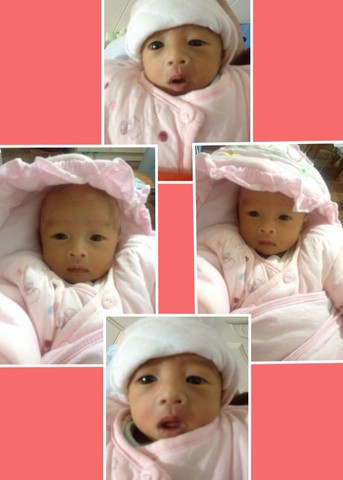 journal_insert_pic_207869451