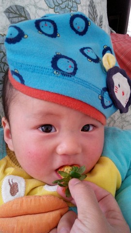 journal_insert_pic_208575521