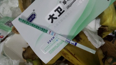 journal_insert_pic_208694516