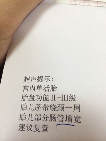 journal_insert_pic_208700010
