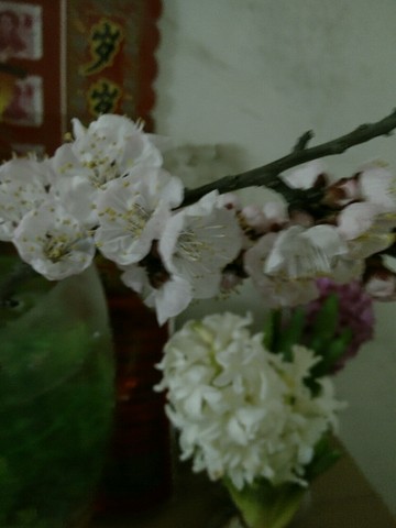 journal_insert_pic_208653893