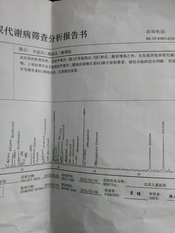 journal_insert_pic_209319520