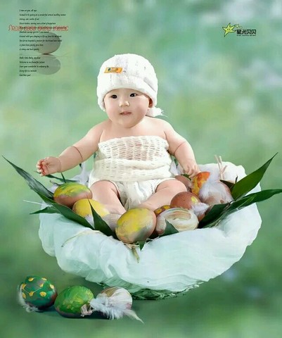 journal_insert_pic_208989017