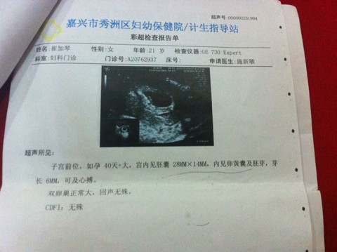 journal_insert_pic_210061270
