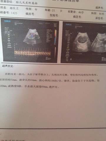 journal_insert_pic_210278407