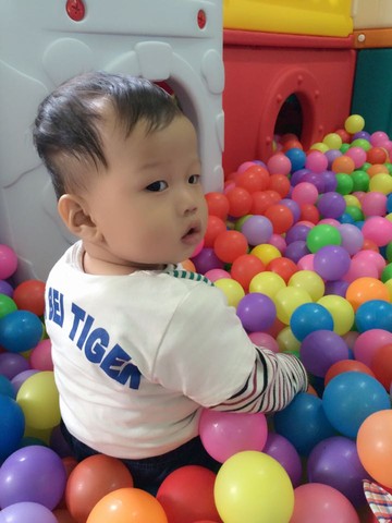 journal_insert_pic_210964247