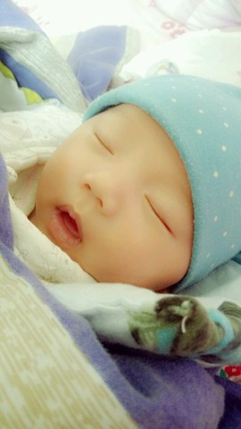 journal_insert_pic_212108365