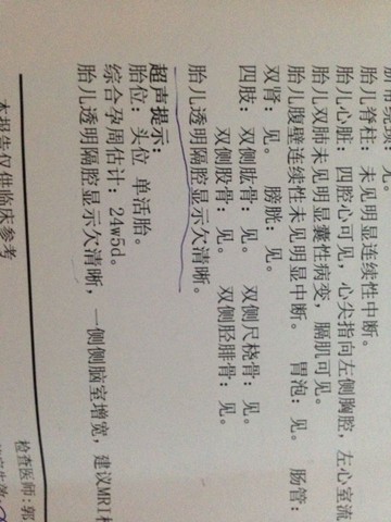 journal_insert_pic_212292925