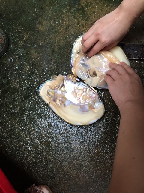 长蚌,长河蚌_大山谷图库