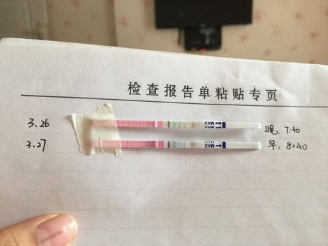 journal_insert_pic_212514718
