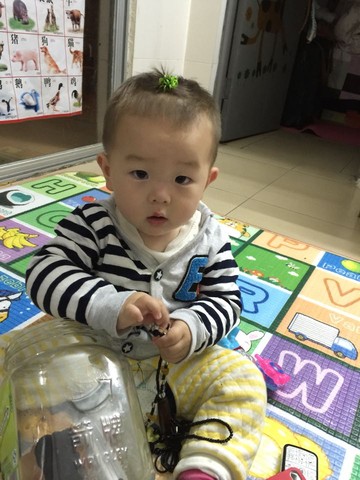 journal_insert_pic_212556991