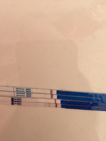 journal_insert_pic_213003005