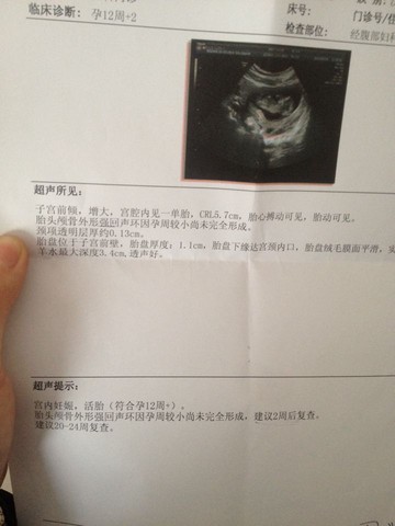 journal_insert_pic_213077297