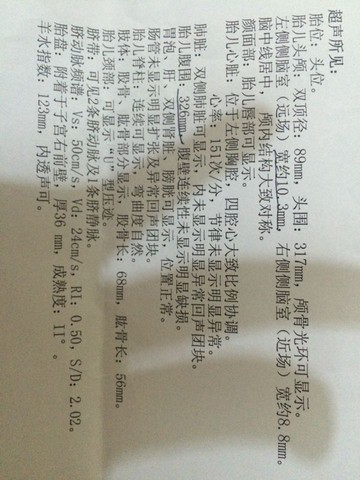 journal_insert_pic_214310285