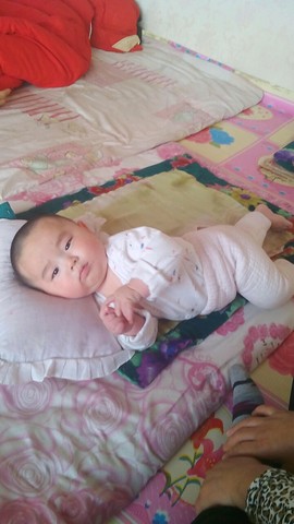 journal_insert_pic_213976524