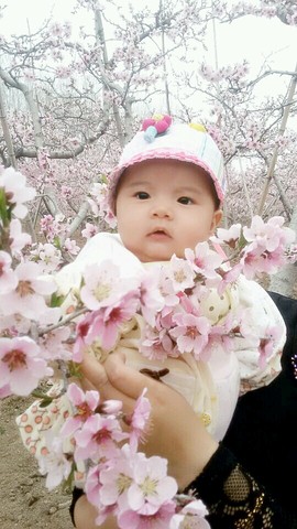 journal_insert_pic_215168752