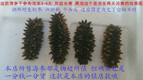 journal_insert_pic_215065495