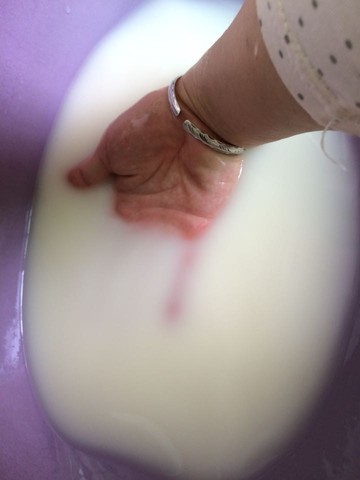 journal_insert_pic_214910848