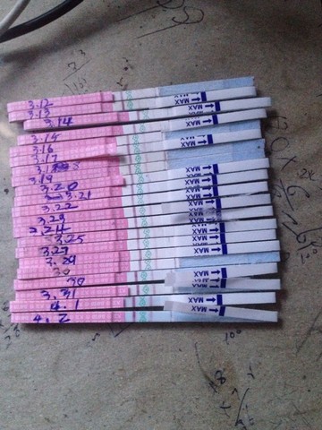 journal_insert_pic_215244743
