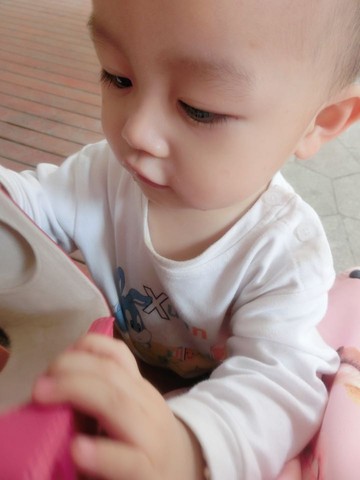 journal_insert_pic_215534421