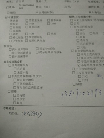 journal_insert_pic_215862841