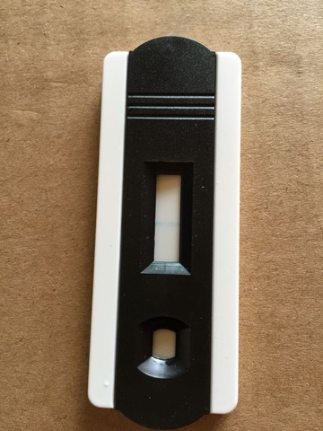 journal_insert_pic_219737135