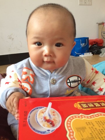journal_insert_pic_221201589