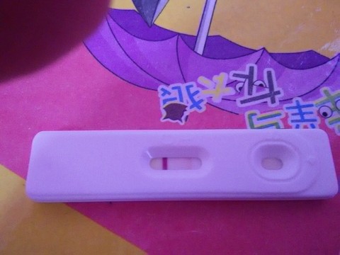 journal_insert_pic_221544102