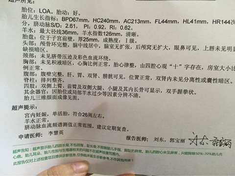 journal_insert_pic_222366011
