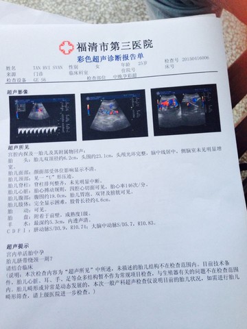 journal_insert_pic_223529993