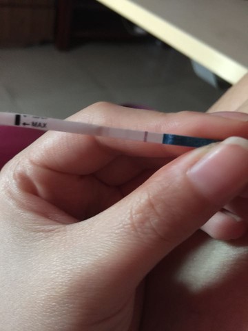 journal_insert_pic_223934670