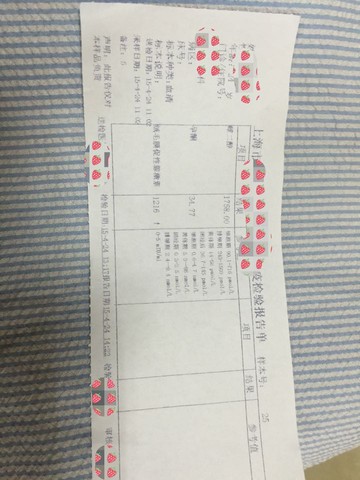 journal_insert_pic_224622906
