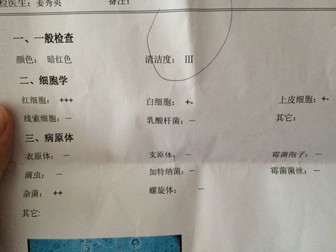 journal_insert_pic_229770829