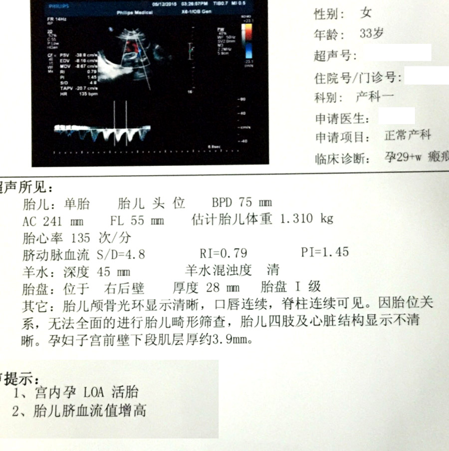journal_insert_pic_229538283